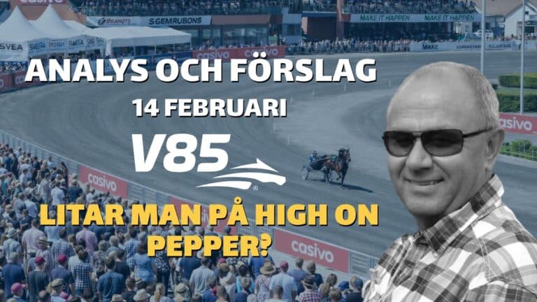 V85 Tips lördag 14/2