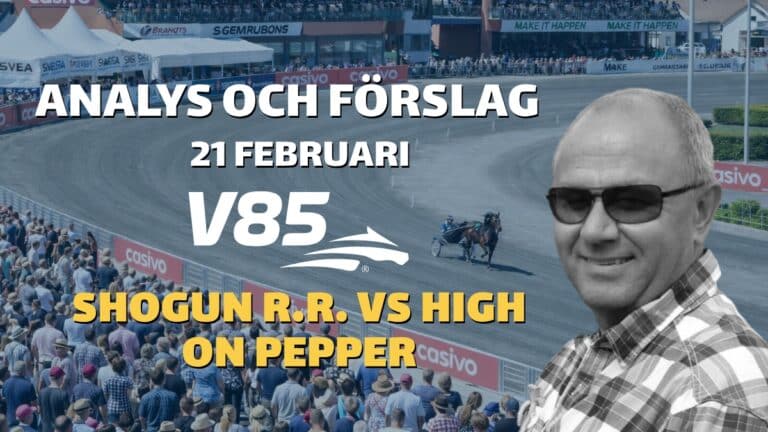 V85 Tips lördag 21/2