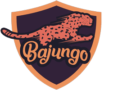 Bajungo logo
