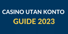 Snabbguide för Casino utan Konto 2023