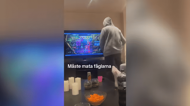 Trend på TikTok om att ”Mata fåglarna” lockar unga till nätcasino