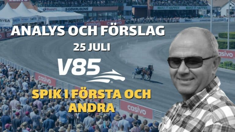V85 Tips 25 juli