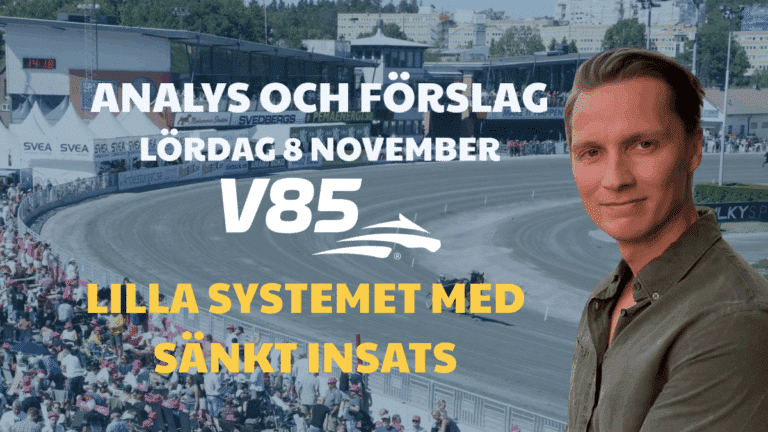 V85 Tips Lördag 8/11 Lilla systemet