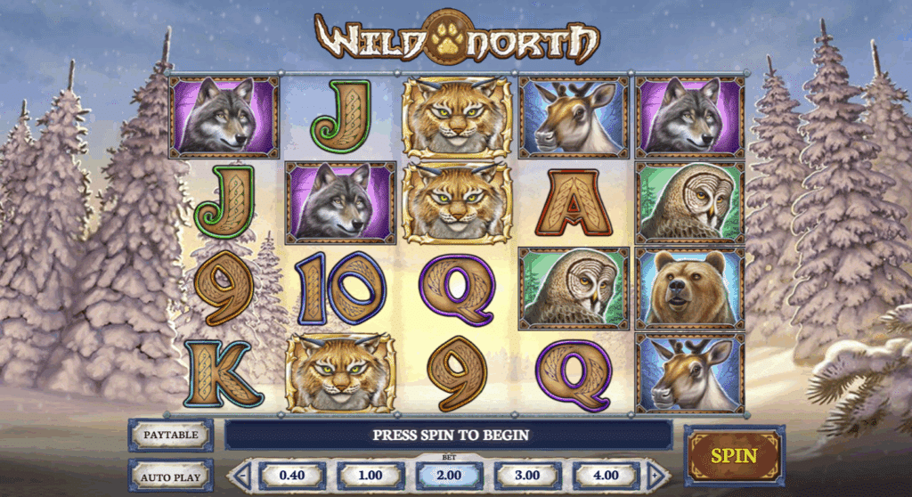 wild north slot demo