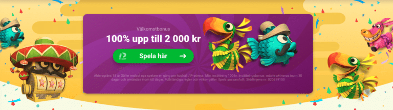 yoyo casono bonus yoyo casono bonus